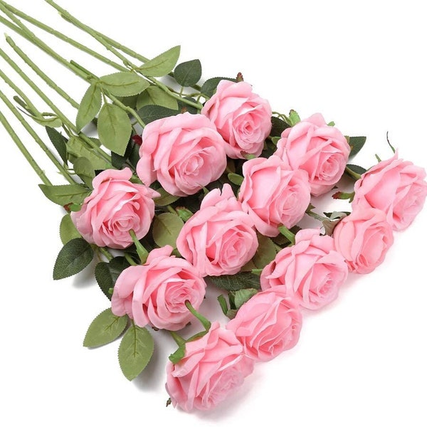 Long Stem Roses Etsy