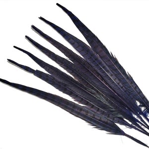 14-16" Pheasant Tail Feathers 5ct - Hair Feathers - Dreamcatcher Feathers - Craft Feathers -1
