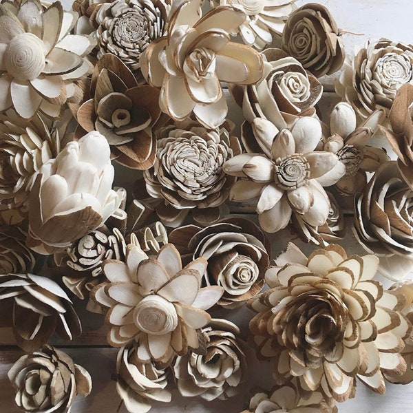 Fleurs en bois - Sola Wood Roses - formes de fleurs artificielles 10ct -P