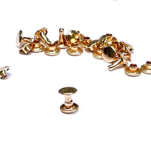 May include: A group of gold-colored metal rivets, some with a round head and others with a pointed head, scattered on a white surface.