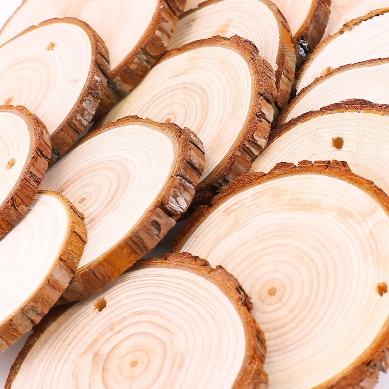 May include: A collection of natural wood slices with bark edges. The light-colored wood features visible growth rings and some slices have a small drilled hole. These rustic wood rounds are ideal for crafts and decorations.