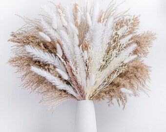 Real Pampas Grass Plumes - 17in Grass Reed Stems - Fluffy Dried Bulrush Reed Grass - Cozy Home Decor