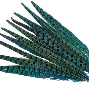 14-16" Pheasant Tail Feathers 5ct - Hair Feathers - Dreamcatcher Feathers - Craft Feathers -2