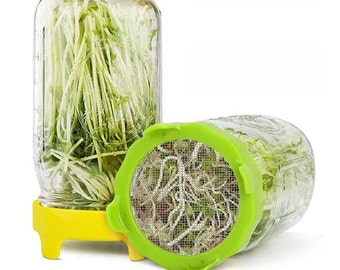 Sprout Lids - Germination Jars - Mason Jar Plants - Grow your own Bean Sprouts