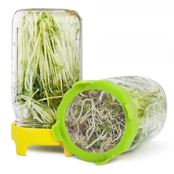 Sprout Lids - Germination Jars - Mason Jar Plants - Grow your own Bean Sprouts