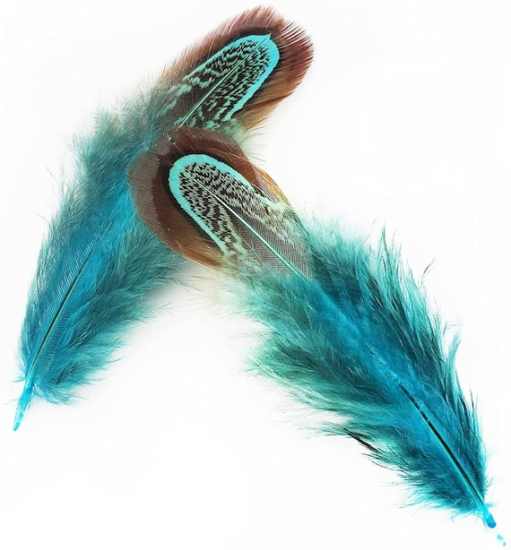 Natural Pheasant Plumage Feathers Hair Feathers Dreamcatcher