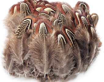 Natural Pheasant Plumage Feathers - Hair Feathers - Dreamcatcher Feathers - Craft Feathers -2