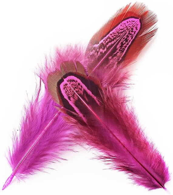 Natural Pheasant Plumage Feathers Hair Feathers Dreamcatcher