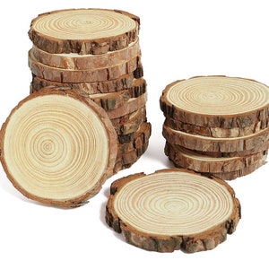 Natural Wood Bark Circles for Painting, Wood Burning, Ornaments, and Crafts - 10pc without holes -1