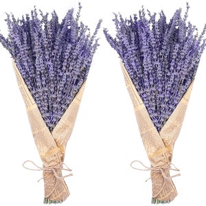 Puede incluir: Dos ramos de flores de lavanda secas envueltos en papel marrón y atados con cuerda. La lavanda es de color morado claro.