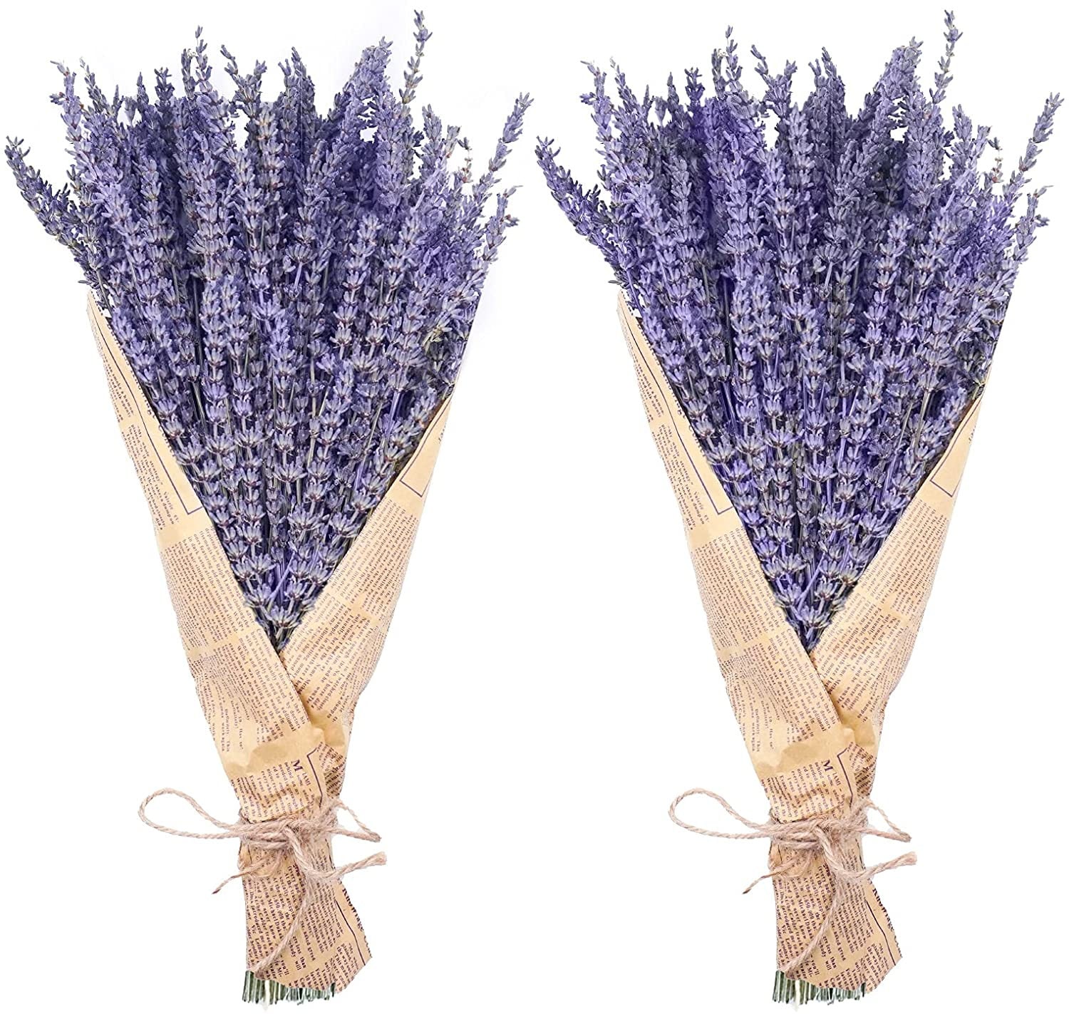 Bewildely Lavanda seca Natural, lavandas recién cosechadas, hermoso ramo de  flores, arreglo de flores, boda, bricolaje, regalos de fiesta en casa  Decoración del hogar Lavanda seca 100 gramos Bewildely HA084088-02