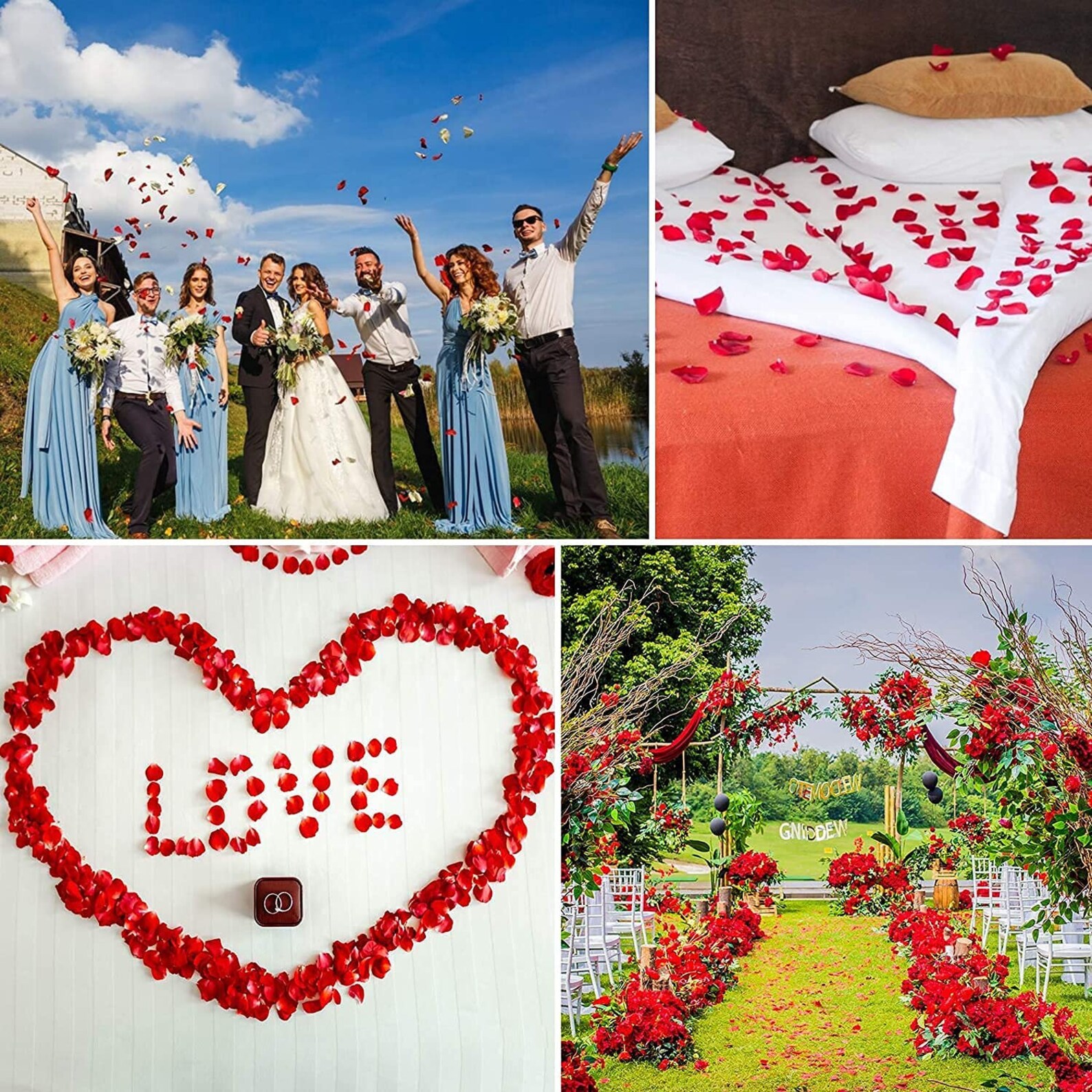 Rose Petals Wedding Flower Petals Romantic Decor Etsy