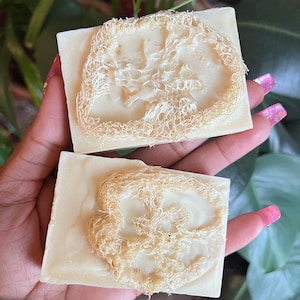 Loofah Soap