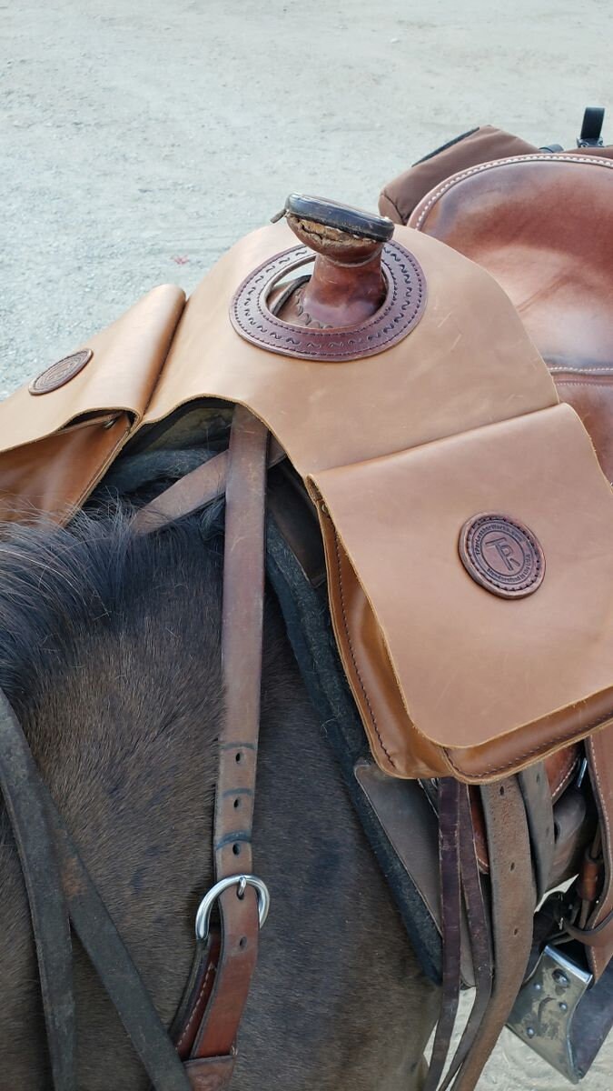 CSS Saddle Horn Bag