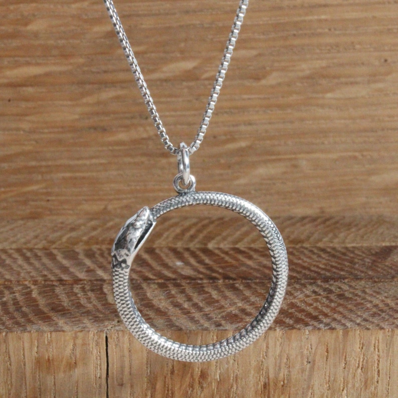 Infinity necklace Sterling Silver Infinity Circle Snake Necklace