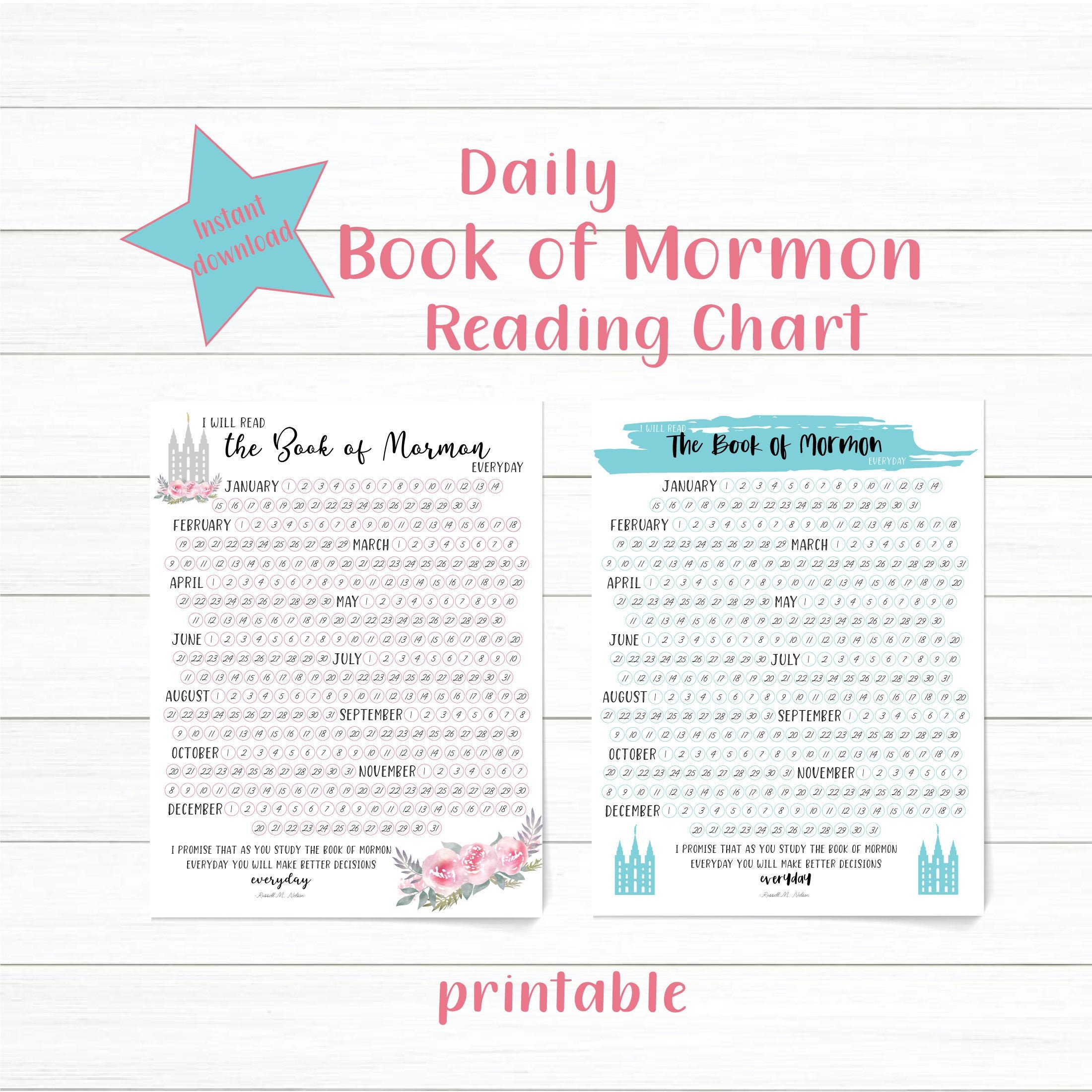 Daily Book of Mormon Reading Chart Instant Download Etsy