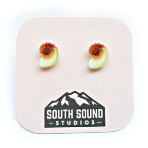 Nautilus Shell Stud Earrings