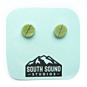 Green Leaf Vein Close-up Stud Earrings