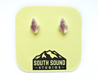 Seashell White Shell Beach Stud Earrings