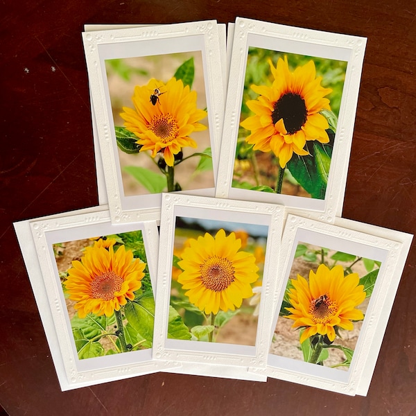 Sunflower (5x7) Notecards w/envelopes, sets of 5 or 10