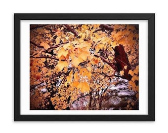 May include: A close-up photograph of a tree branch with yellow leaves. The leaves are backlit by the sun, creating a warm glow. The branches are dark and gnarled, adding a sense of age and wisdom to the image.