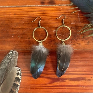 Peacock Feather Earrings | *MOOSE* | Handmade | Cruelty Free | Unique
