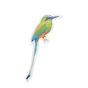 Nicaragua National Bird Guardabarranco Sublimation Embroidered Iron-On Patch
