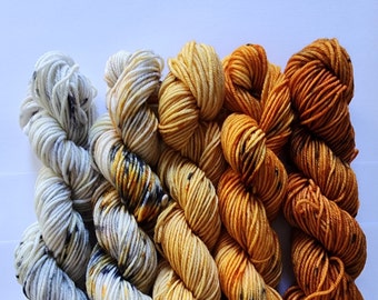 Mini Skein Sets  Superwash Merino   Hand Dyed Ready to Ship