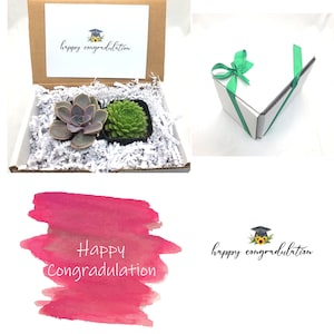 2 Succulent Gift Box - Happy Congratulation; Congrats Gift Box, Celebration Gifts