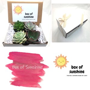 4 Pack Gift Box - Box Of Sunshine You&#39;re A Shining Beam Of Light; Just Because Gifts, Think of You Gift Box