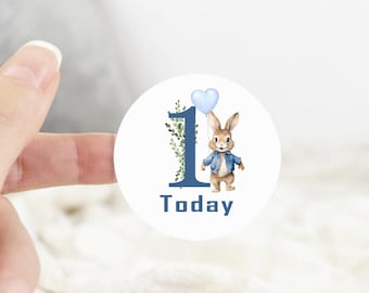 24 one today bunny stickers, Birthday Labels, any age stickers rabbit 4.5cm round gloss waterproof sheet stickers Blue bunny rabbit boy
