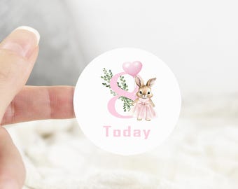 24 stickers 1 vandaag stickers konijn, verjaardagsstickers, elke leeftijd stickers konijn 4,5 cm ronde glanzende waterdichte velstickers leeftijdsstickers roze