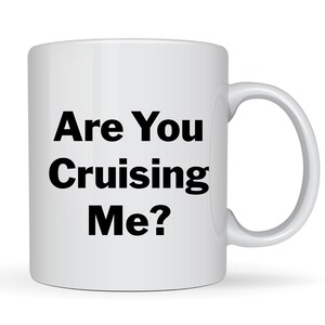 Are U Cruising Me? Funny Mug Snarky Coffee Cup, Gay Gift, NSFW LGBTQ Humor, Gag Gift for Him, Gift for Gay Friends
