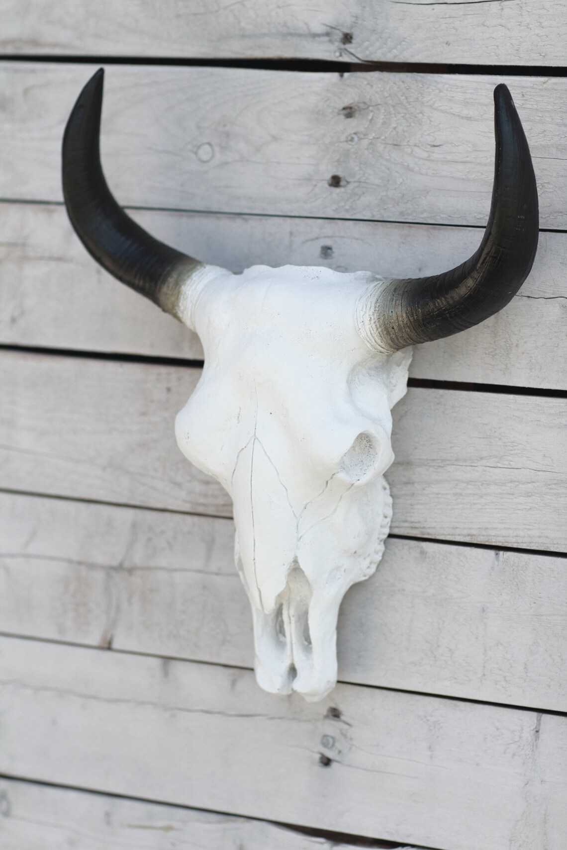 Natural Colored Fake Cow skull / Bull Skull / home decor