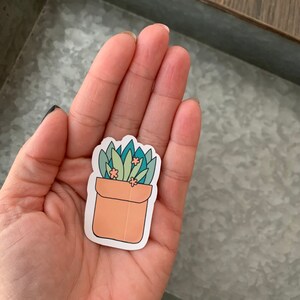 Può includere: Un adesivo di una pianta grassa in vaso con foglie verdi e fiori rosa. Il vaso è di colore arancio chiaro.