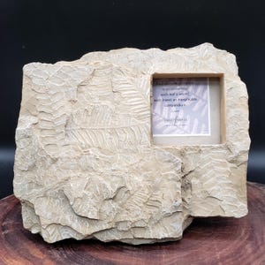 May include: A beige, rectangular picture frame with a fossilized rock appearance. The frame has a cutout for a photo and features the text "Each particle of matter is an immensity..." from Fancy Frames.