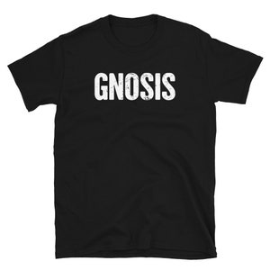 Distressed Gnostic T-Shirt / Gnosticism Gift (Unisex) – &quot;Gnosis&quot;