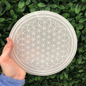 May include: A round, white selenite plate with a detailed Flower of Life pattern etched into its surface. The plate is held against a backdrop of green foliage. The design features interlocking circles, creating a symmetrical, geometric pattern.