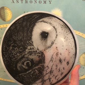 May include: A white ceramic disc with a black and white image of an owl on one side and a white owl on the other side. The image is a yin yang design.