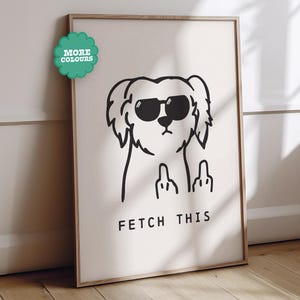 May include: A framed print with a black and white illustration of a dog wearing sunglasses and giving the middle finger. The text "FETCH THIS" is below the dog. A green sticker with the words "MORE COLOURS" is in the upper left corner.