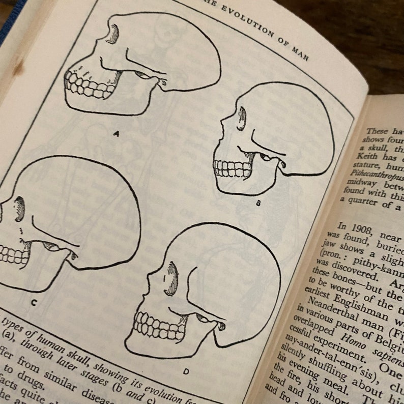 Vintage Books Set of 10 Various Titles Tips Guidelines How to - Etsy UK