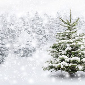 Winter Snow Photography Backdrop Snowflakes Pine Tree Photo Background ...