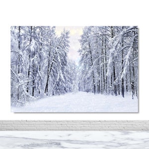 Puede incluir: Una escena de bosque nevado con árboles altos cubiertos de nieve blanca. El camino a través del bosque también está cubierto de nieve, y hay copos de nieve cayendo del cielo.