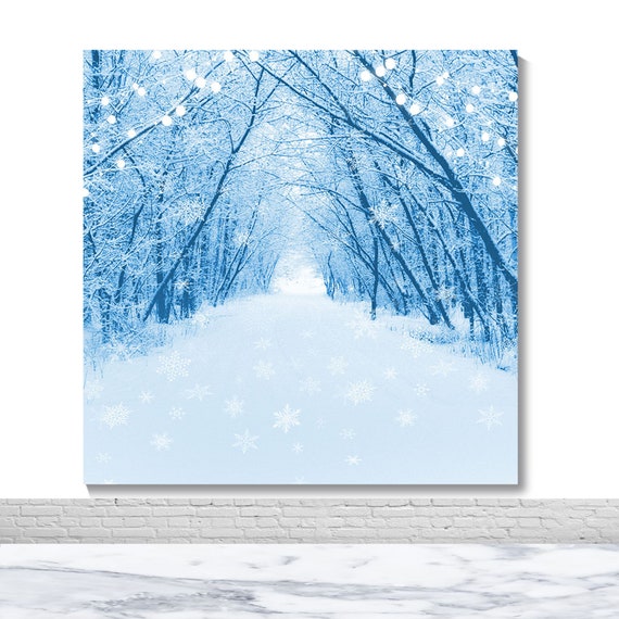 7x5ft Winter Scene Backdrop Wonderland Snowflake Tanzania