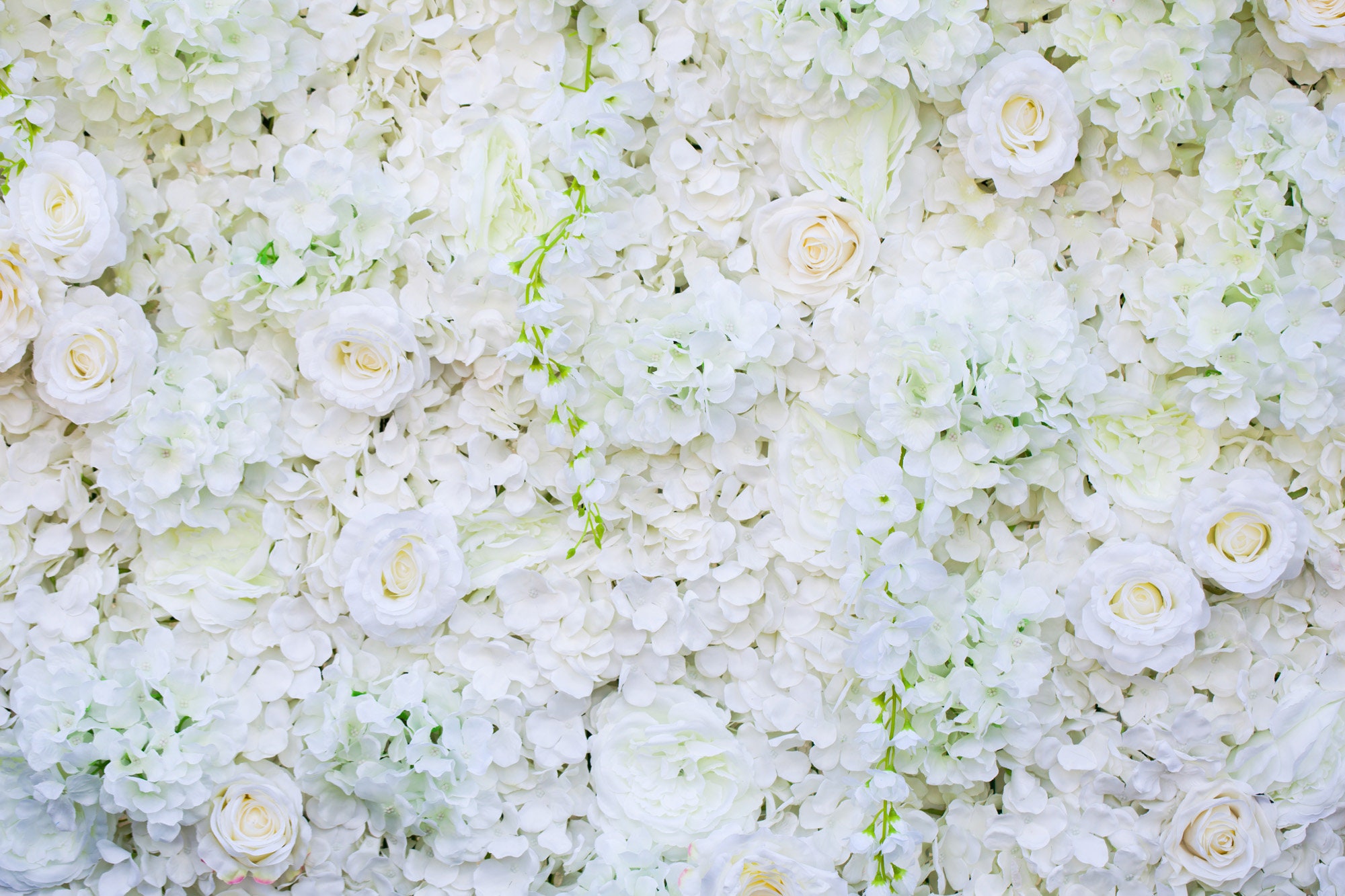 White Floral Wall Photography Backdrop Wedding Bridal Shower Etsy
