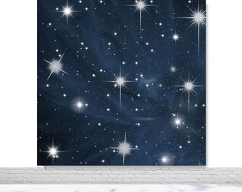 Early 2000s Photography Backdrop Birthday Party Photo Backdrop Twinkle Star Vinyl Photo Booth Background