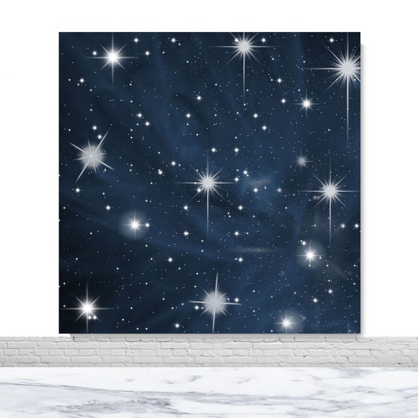 Early 2000s Photography Backdrop Birthday Party Photo Backdrop Twinkle Star Vinyl Photo Booth Background