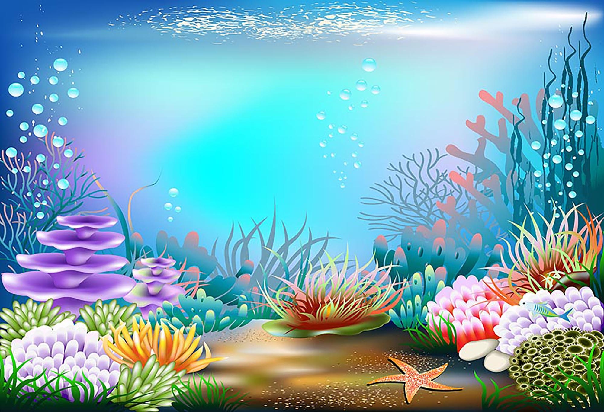 Underwater World Photography Backdrop Mermaid Birthday Party Etsy