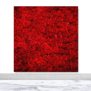 Red Rose Floral Wall Photo Backdrops Wedding Valentine&#39;s Day Birthday Flowers Photography Background Vinyl Photo Booth Props