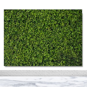 Green Leaves Wall Photography Backdrop Birthday Party Wedding Bridal Shower Baby Shower Picture Backdrop Vinyl Polyester Photo Booth Prop